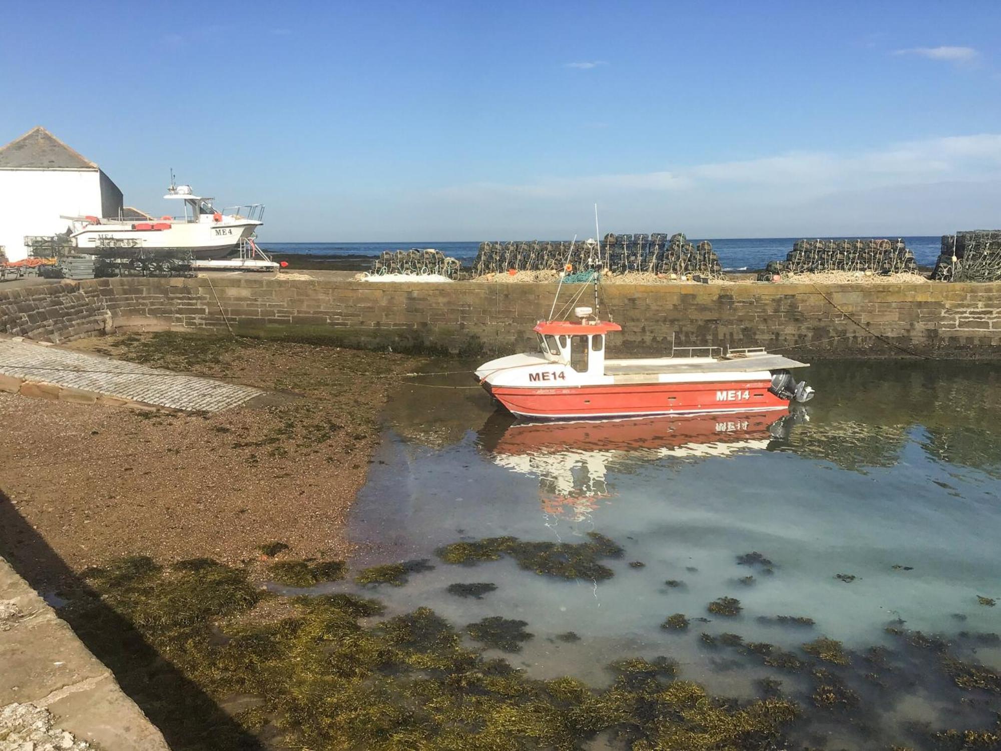 فيلا Harbour View Johnshaven المظهر الخارجي الصورة