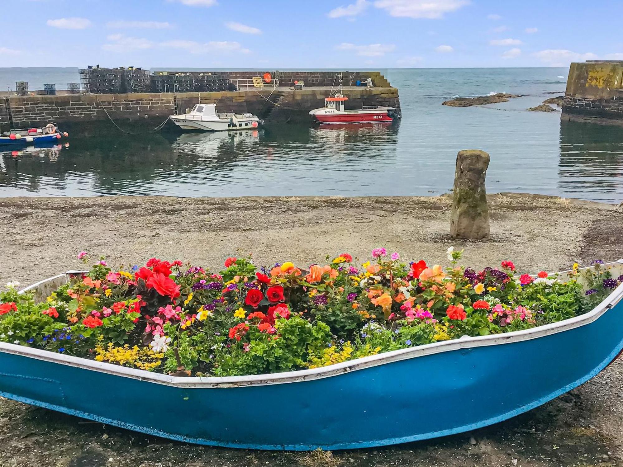 فيلا Harbour View Johnshaven المظهر الخارجي الصورة